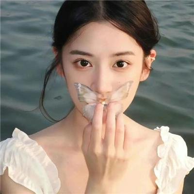 鸟儿们的奇幻冒险